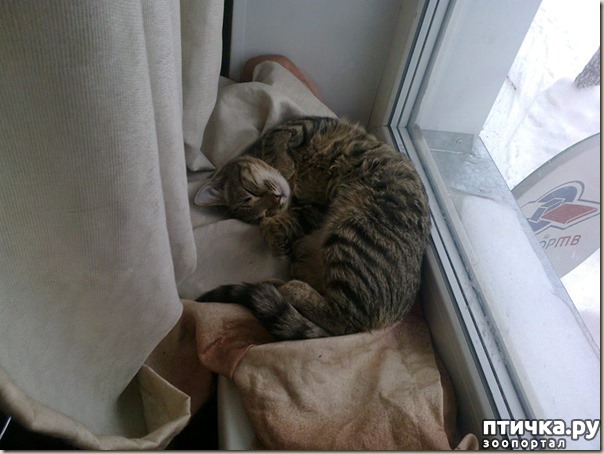 ���� 2: ���������� ������� ��� ���� ������