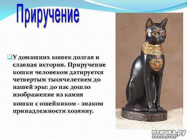 ���� 3: ������� �������