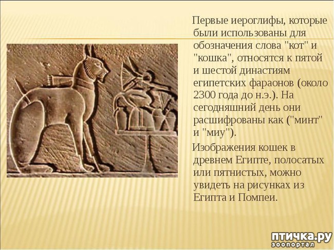 ���� 12: ������� �������