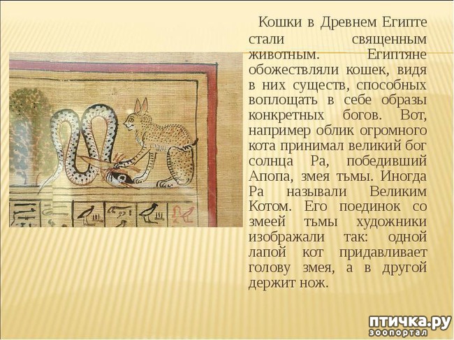 ���� 13: ������� �������