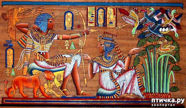 ���� 15: ������� �������