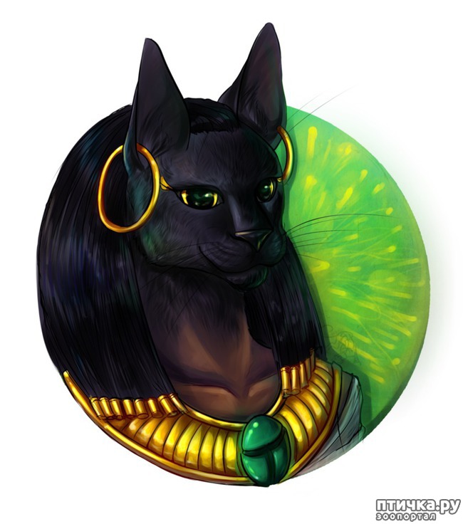 ���� 16: ������� �������