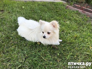 ����: �� ���� ��������� ������ � � ����� ���ӻ