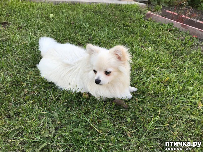 ���� 1: �� ���� ��������� ������ � � ����� ���ӻ