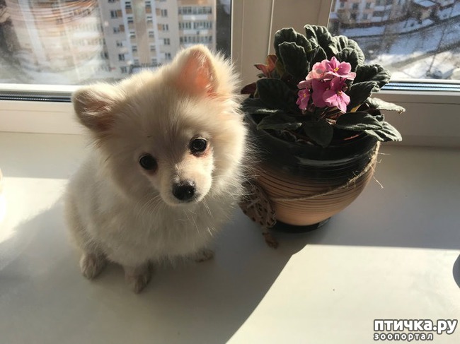 ���� 2: �� ���� ��������� ������ � � ����� ���ӻ