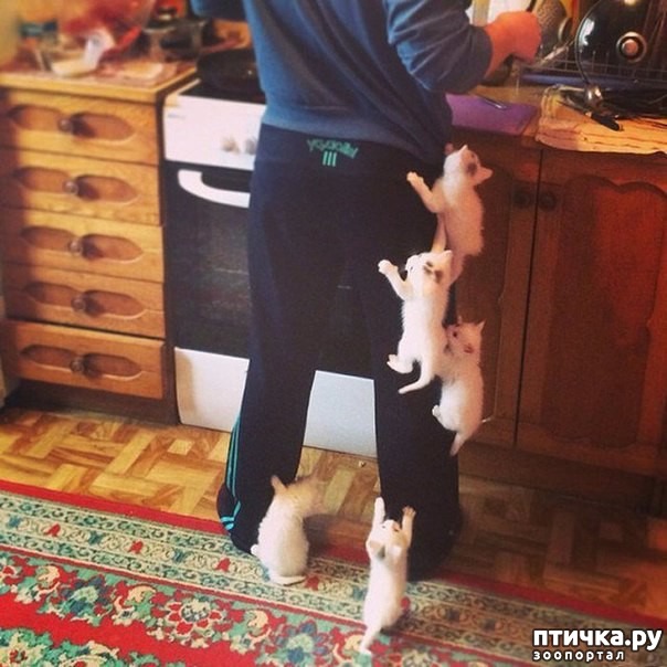 ���� 1: �������� ��������