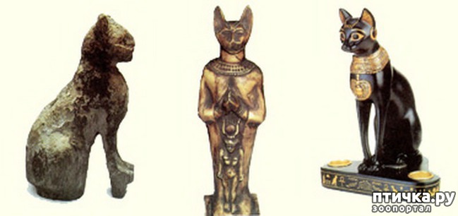 ���� 1: ������� �������