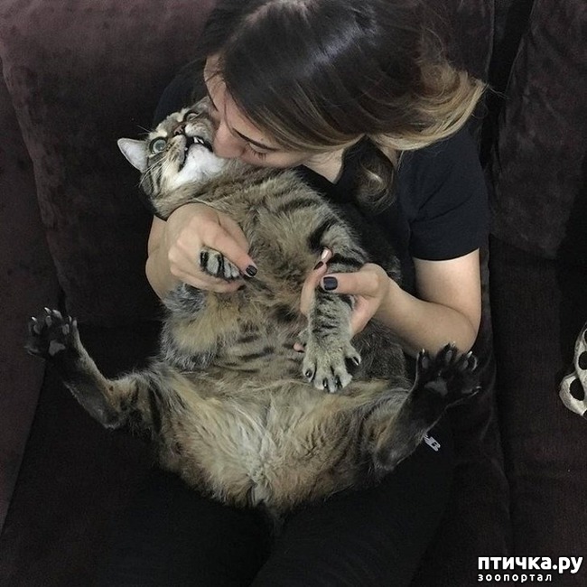 ���� 7: #���� � �������������� ��������, �������������� ������� ����������