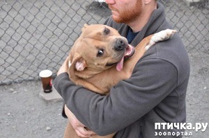 ����: #�� ���� ������� �� ������, �� ����� ������ ������. ������� ������� ���� ������� ����������>