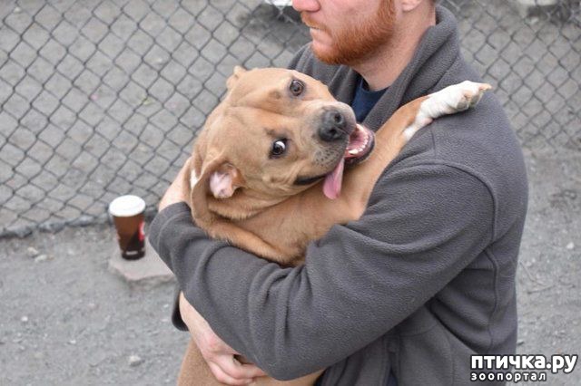 ���� 1: #�� ���� ������� �� ������, �� ����� ������ ������. ������� ������� ���� ������� ����������></a>