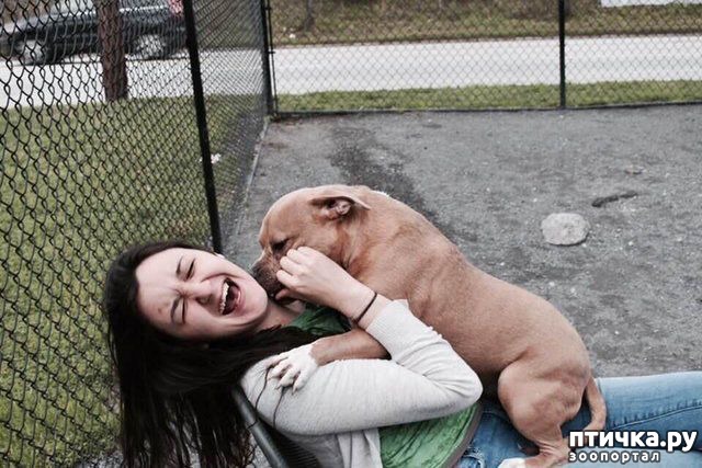 ���� 3: #�� ���� ������� �� ������, �� ����� ������ ������. ������� ������� ���� ������� ����������></a>