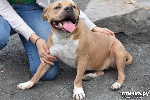 ���� 2: #�� ���� ������� �� ������, �� ����� ������ ������. ������� ������� ���� ������� ����������></a>