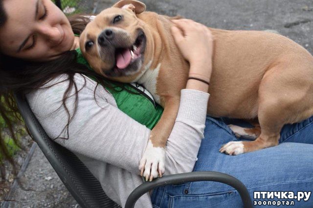 ���� 4: #�� ���� ������� �� ������, �� ����� ������ ������. ������� ������� ���� ������� ����������></a>