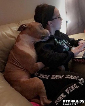 ����: #������� ������� �� ������ ������� � �� ��� ��������, ��� �� ����� ��������� ����������