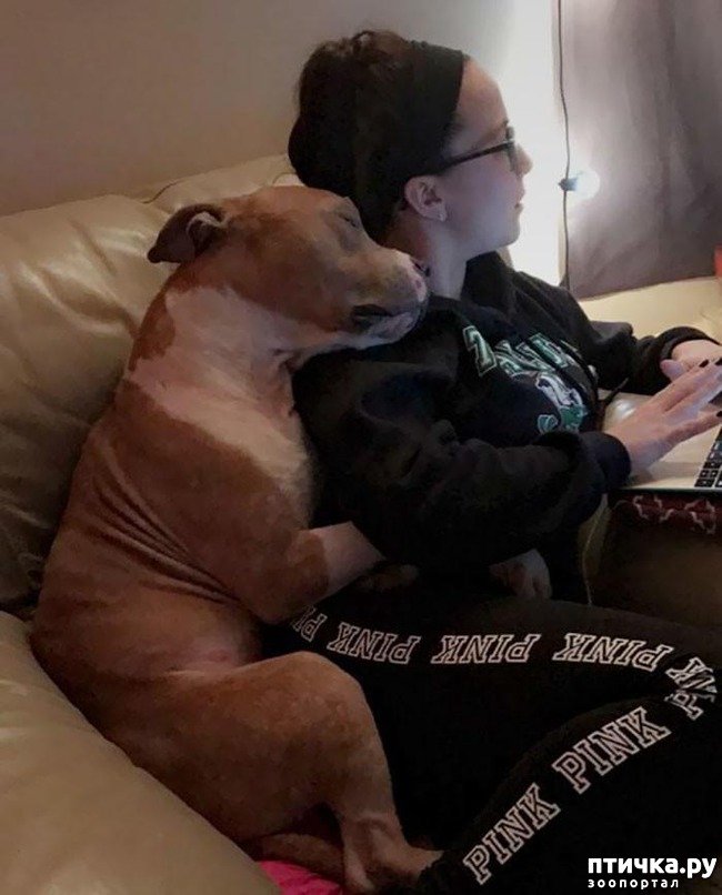 ���� 1: #������� ������� �� ������ ������� � �� ��� ��������, ��� �� ����� ��������� ����������