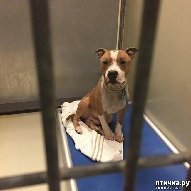 ���� 2: #������� ������� �� ������ ������� � �� ��� ��������, ��� �� ����� ��������� ����������