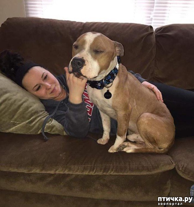 ���� 3: #������� ������� �� ������ ������� � �� ��� ��������, ��� �� ����� ��������� ����������