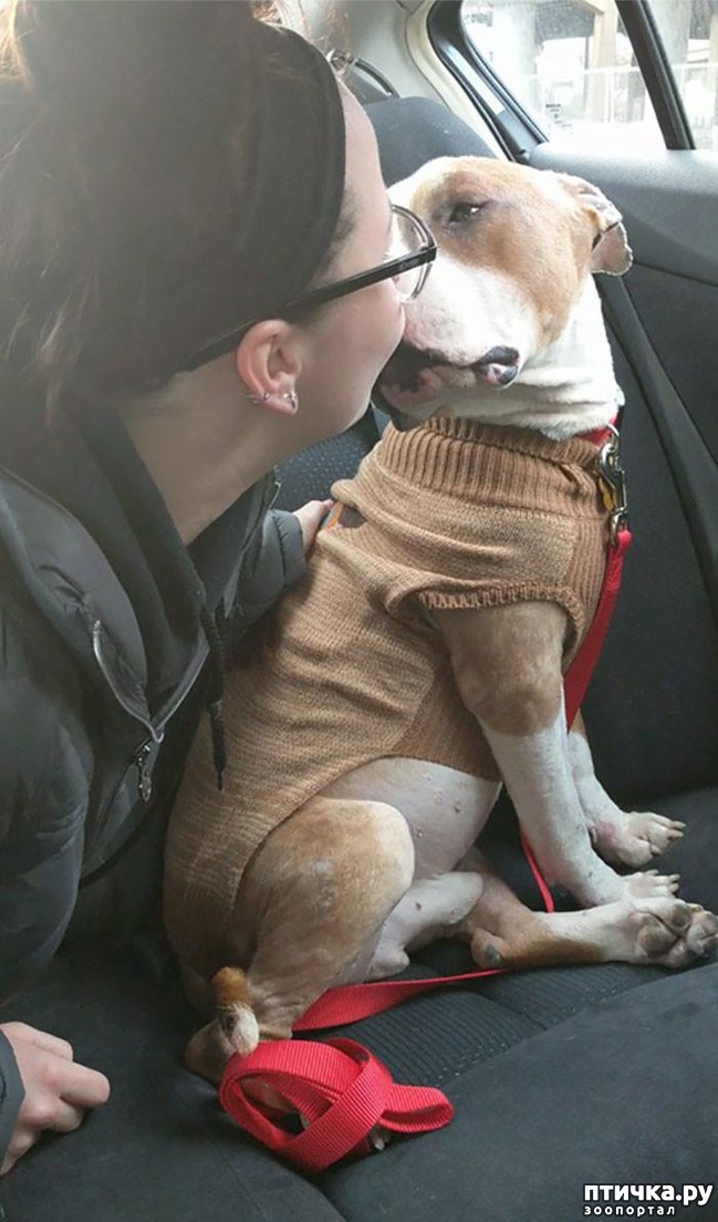 ���� 6: #������� ������� �� ������ ������� � �� ��� ��������, ��� �� ����� ��������� ����������