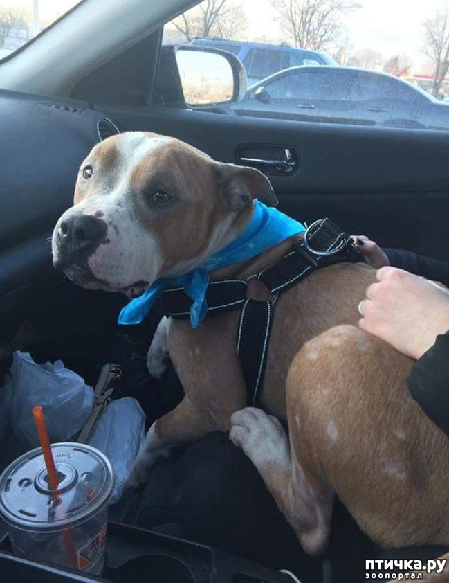 ���� 7: #������� ������� �� ������ ������� � �� ��� ��������, ��� �� ����� ��������� ����������