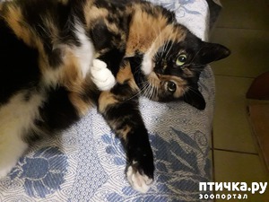 ����: � ����� � �����������!