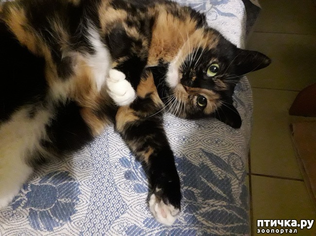 ���� 1: � ����� � �����������!