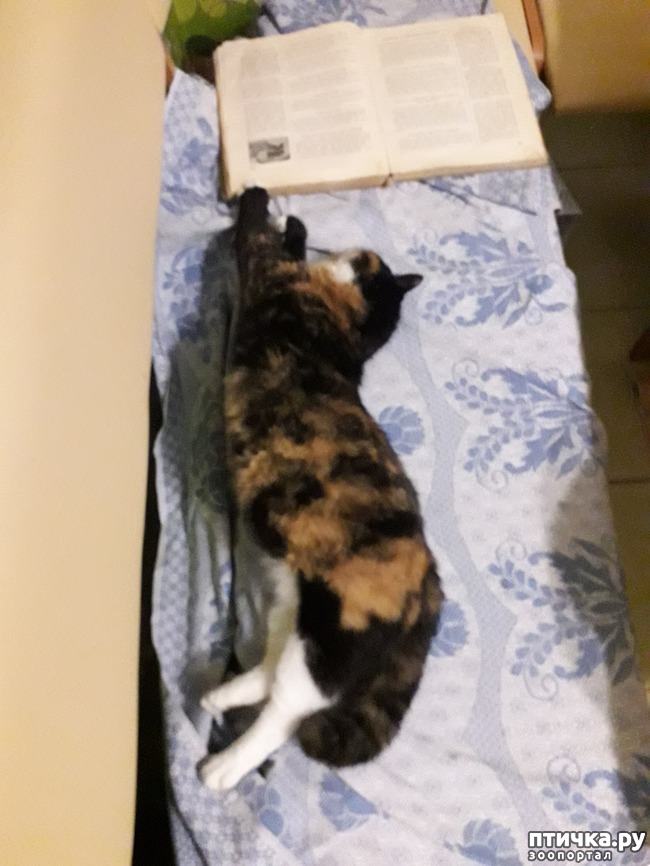 ���� 2: � ����� � �����������!