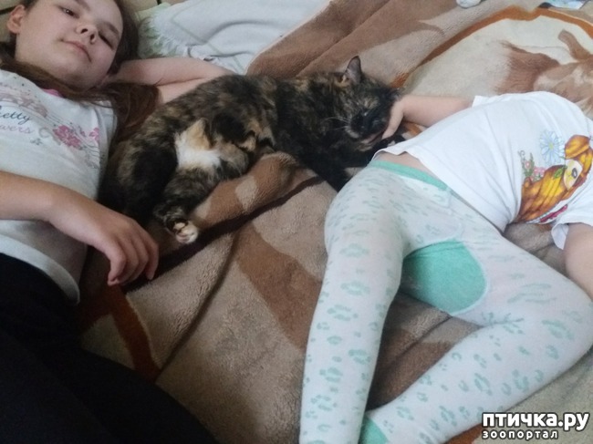 ���� 3: � ����� � �����������!