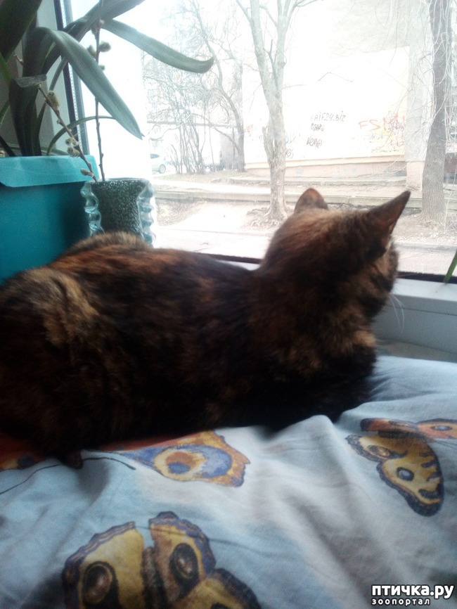 ���� 4: � ����� � �����������!