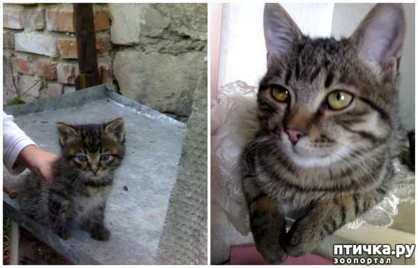 ���� 2: ���� ���� ��������� �� ������, �������� ���� �� �����, �������������, ��������� � 