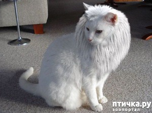 ����: ���� ���� ��������� �� ������, �������� ���� �� �����, �������������, ��������� � "���������"�