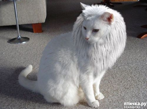 ���� 1: ���� ���� ��������� �� ������, �������� ���� �� �����, �������������, ��������� � 