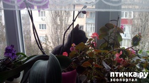 ����: ���� ����� �� �����