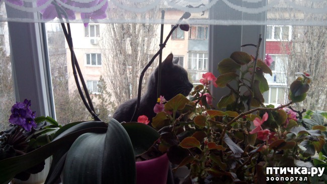 ���� 1: ���� ����� �� �����