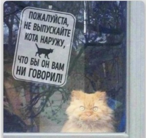 ����: �� ���� ����!