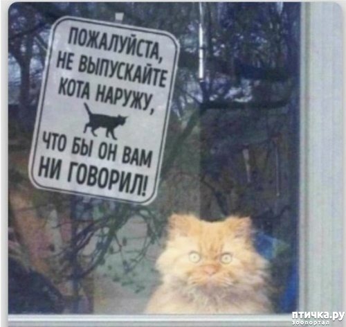 ���� 1: �� ���� ����!