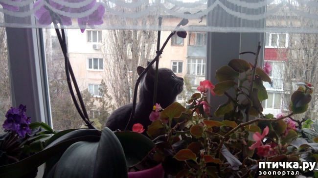 ���� 2: ���� ����� �� �����