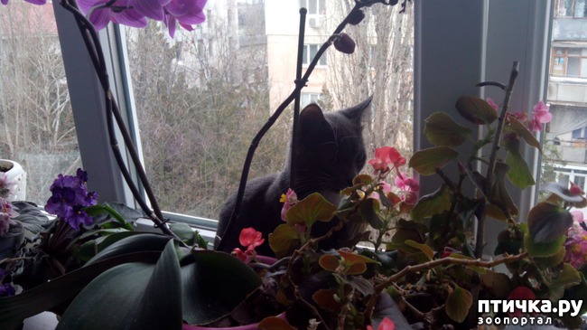 ���� 3: ���� ����� �� �����