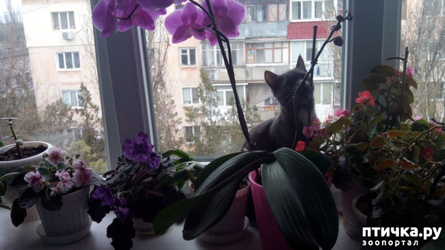 ���� 4: ���� ����� �� �����