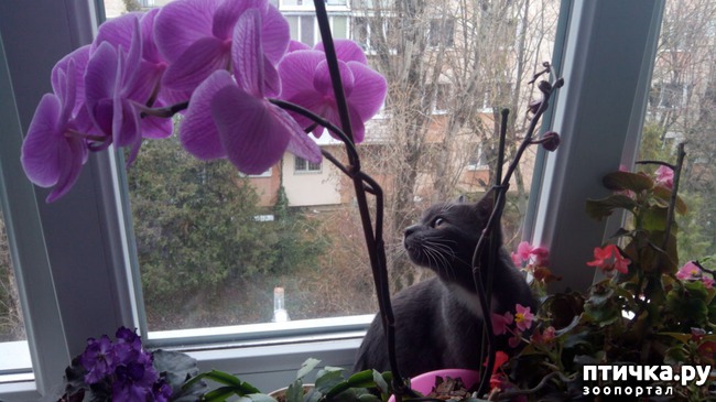 ���� 5: ���� ����� �� �����