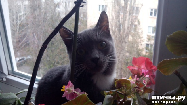 ���� 6: ���� ����� �� �����