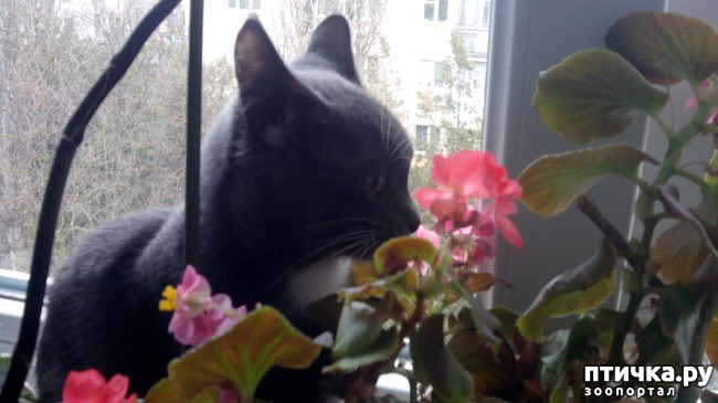 ���� 7: ���� ����� �� �����