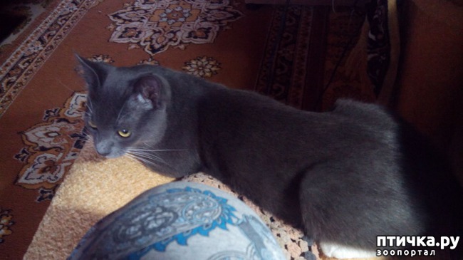 ���� 8: ���� ����� �� �����