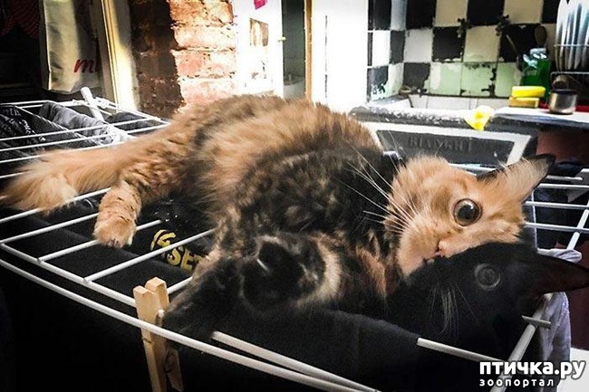 ���� 1: ���� ������� � �������� �����