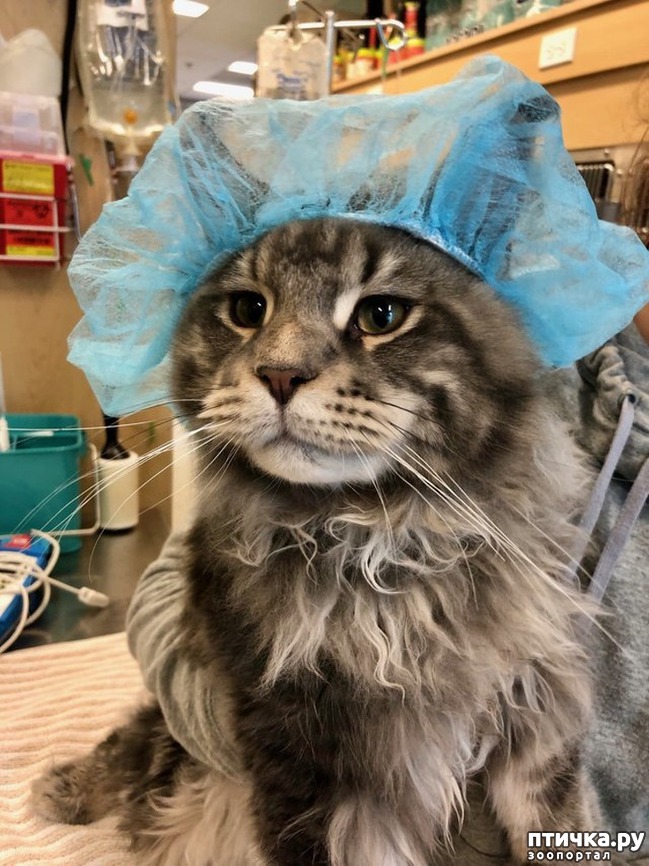 ���� 3: ���� ������� � �������� �����