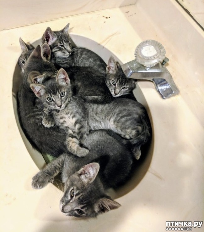 ���� 4: ���� ������� � �������� �����