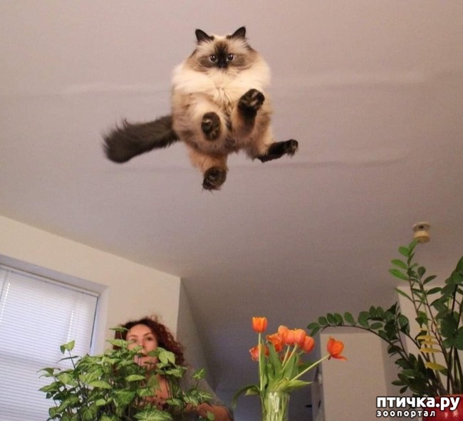 ���� 5: ���� ������� � �������� �����