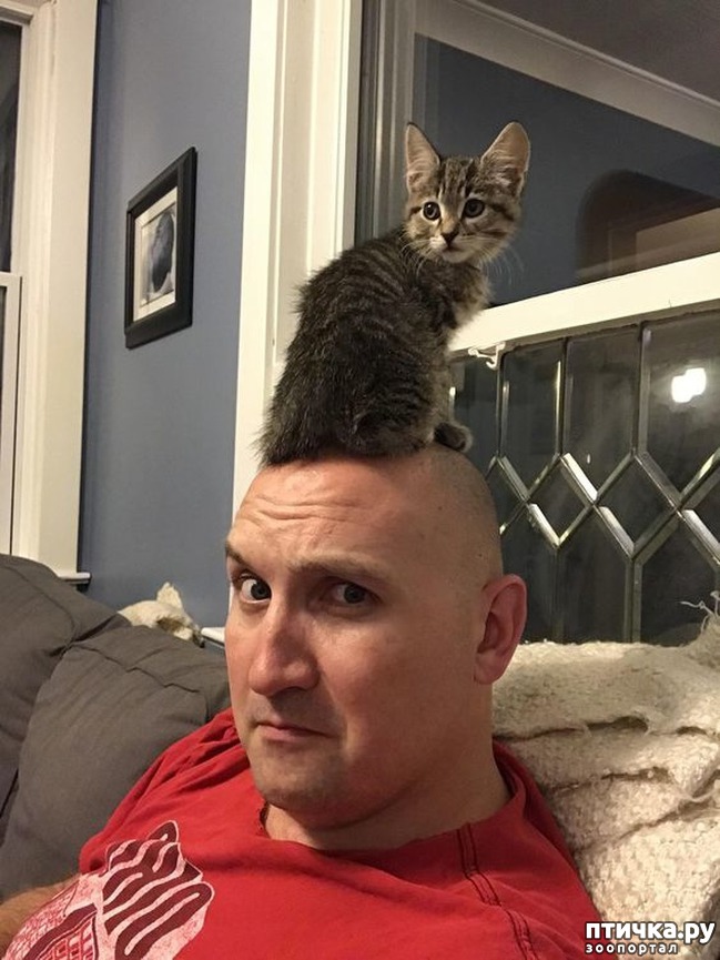 ���� 7: ���� ������� � �������� �����