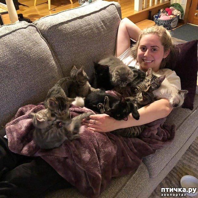 ���� 9: ���� ������� � �������� �����