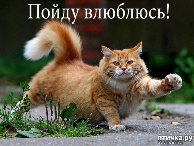 ���� 12: ���� ������� � �������� �����