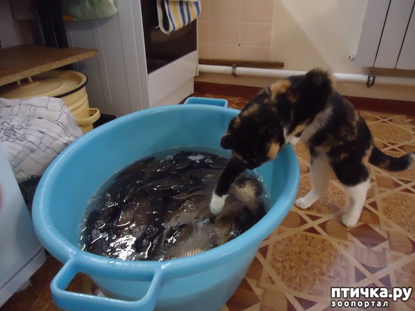 ���� 13: ���� ������� � �������� �����